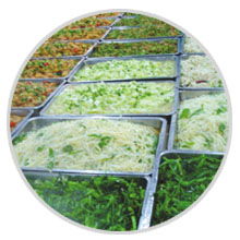 餐饮管理公司食品简加工类特别专栏 提升效率与品质的管理策略